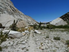 MineralKingLoop 194